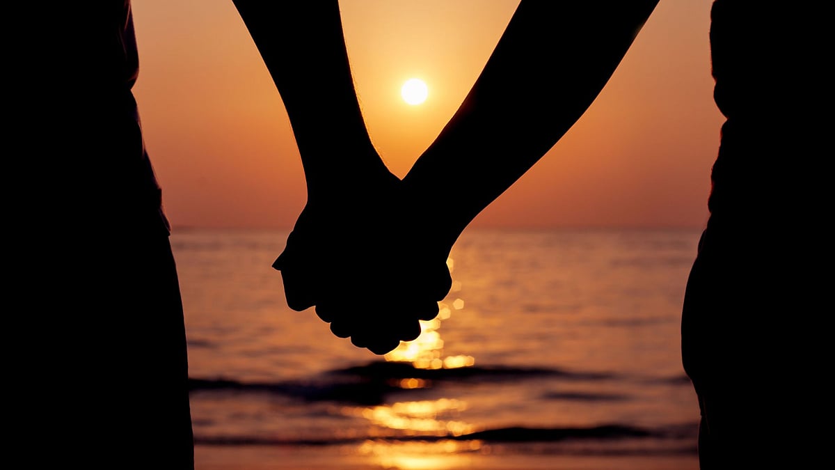 <div class="paragraphs"><p>Valentine's Day Special</p></div>