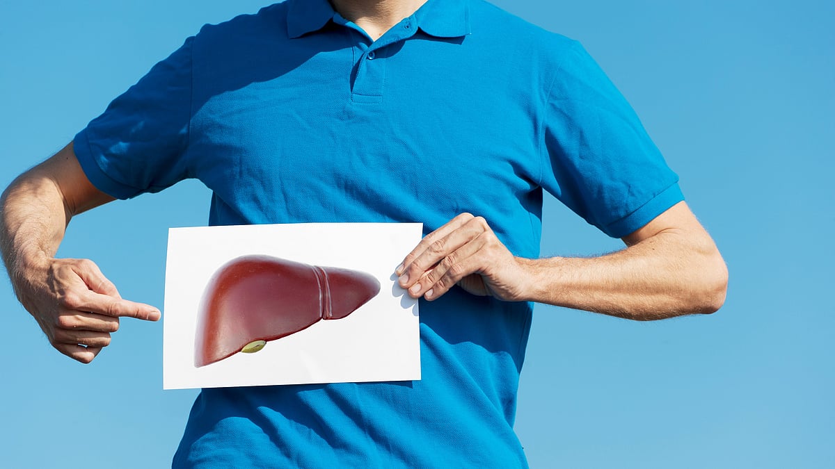 <div class="paragraphs"><p> Liver </p></div>