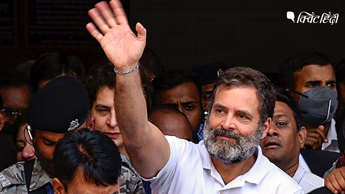 <div class="paragraphs"><p>'राजनीतिक रूप से प्रेरित केस,गैरकानूनी फैसला'-राहुल ने अपनी याचिका में क्या कहा?</p></div>