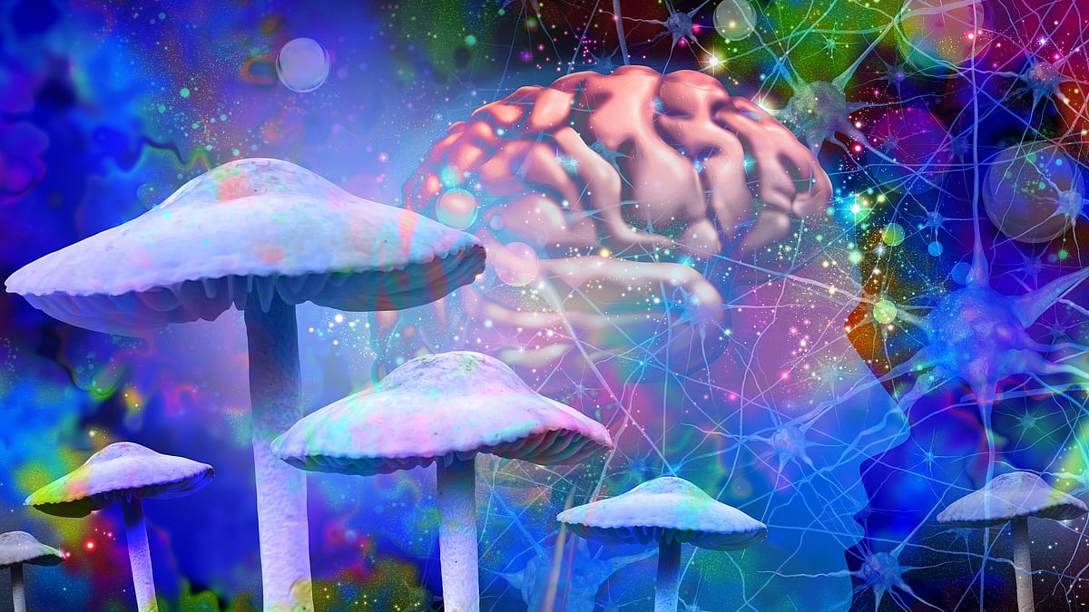<div class="paragraphs"><p>Mental Health Drugs :ऑस्ट्रेलिया में मेंटल हेल्थ डिसऑर्डर का ट्रीटमेंट होगा साइकेडेलिक ड्रग्स से.</p></div>