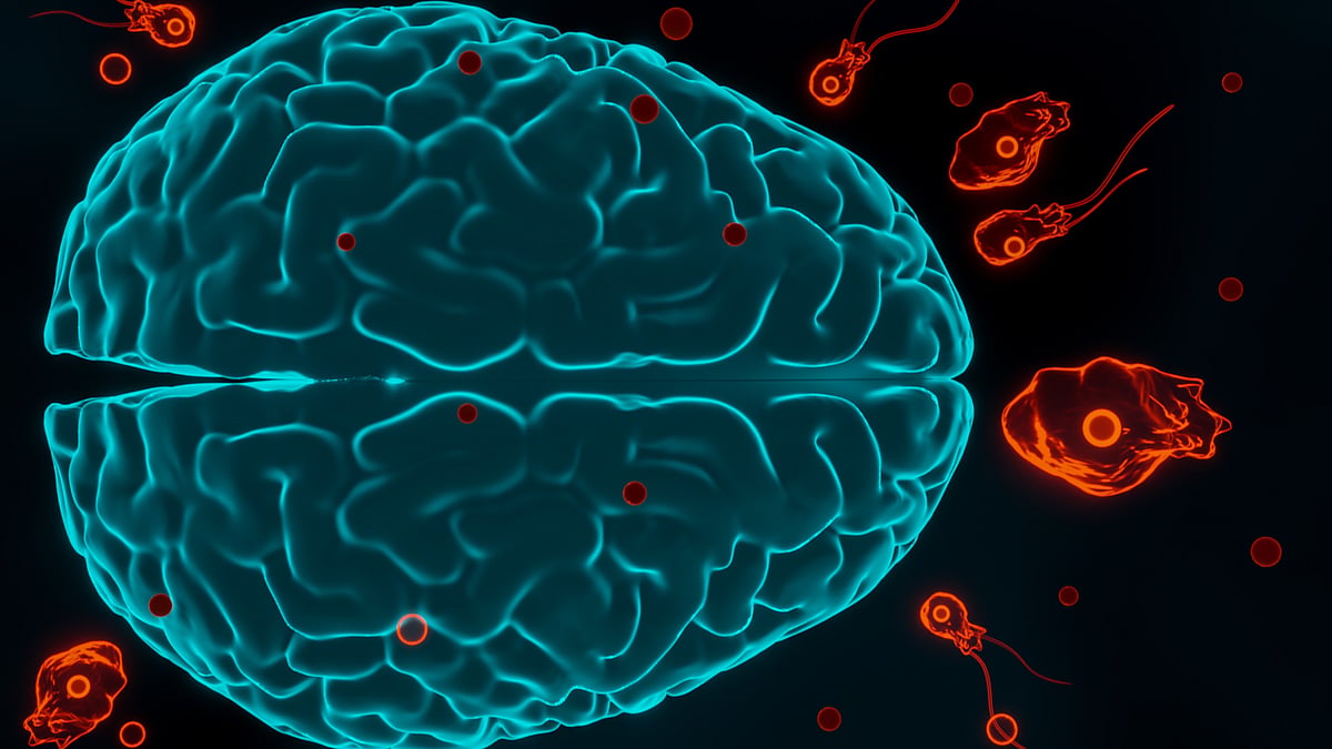 <div class="paragraphs"><p>World Brain Day: क्या है नेगलेरिया फाउलेरी या "दिमाग खाने वाला अमीबा"?</p></div>
