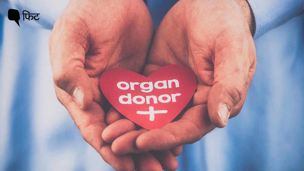 <div class="paragraphs"><p><strong>World Organ Donation Day 2023: अंगदाता बनने के लिए पंजीकरण कैसे करें?</strong></p></div>