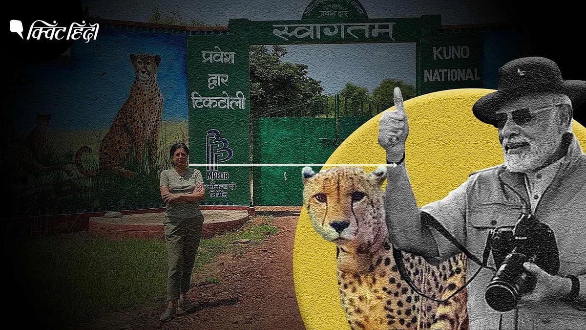 <div class="paragraphs"><p>भारत में प्रोजेक्ट चीता के एक साल </p></div>