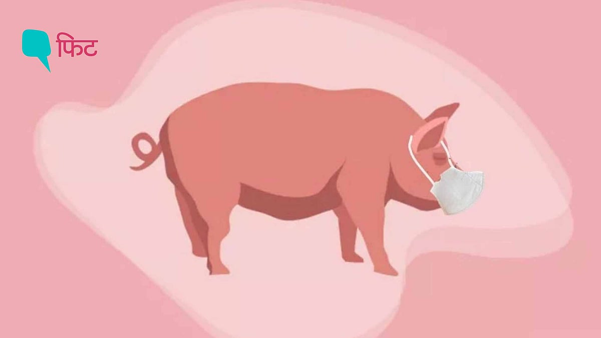 <div class="paragraphs"><p>African Swine Fever:अफ्रीकन स्वाइन बुखार घरेलू और जंगली सूअरों की एक बेहद संक्रामक वायरल बीमारी है.</p></div>