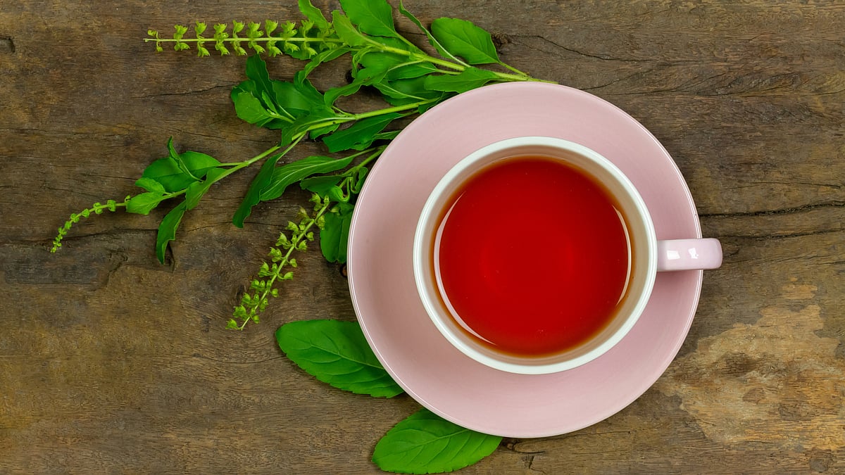 <div class="paragraphs"><p><strong>Tulsi Benefits:&nbsp;</strong>मेडिकल खूबियों के लिए जानी जाने वाली तुलसी एक जड़ी-बूटी भी है</p></div>
