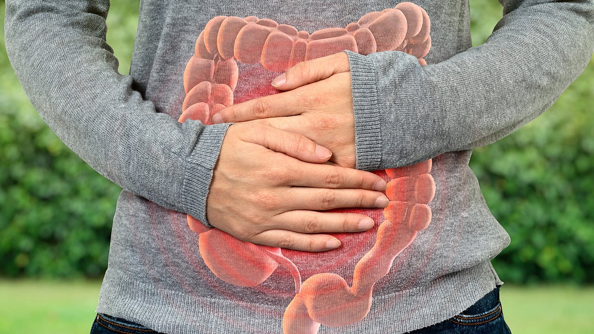 <div class="paragraphs"><p>Winter Gut Health: सर्दियों में अपने पेट को हेल्दी कैसे रखें?</p></div>
