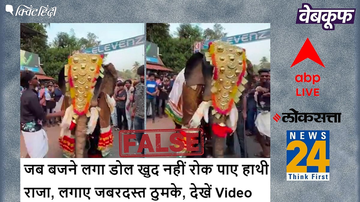 <div class="paragraphs"><p>नाचते हुए असली हाथी की नहीं बल्कि एक आर्टिस्ट की है वायरल वीडियो</p></div>