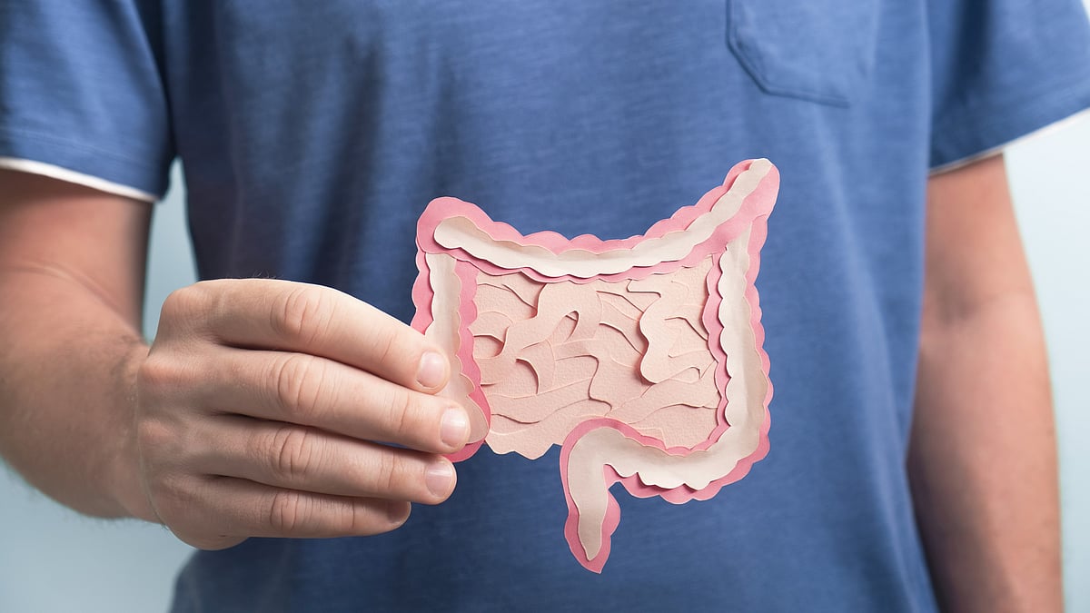 <div class="paragraphs"><p>Gut Health: पेट की सेहत ठीक रखने के लिए क्या करें?</p></div>