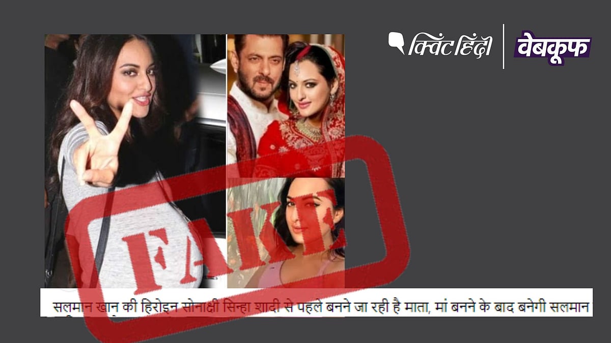 <div class="paragraphs"><p>दावा किया जा रहा है कि सोनाक्षी सिन्हा शादी से पहले मां बनने जा रही हैं </p></div>