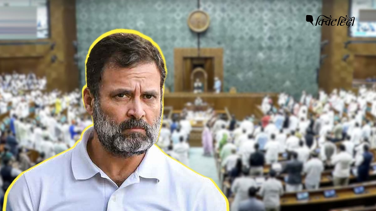 <div class="paragraphs"><p>कांग्रेस सांसद राहुल गांधी लोकसभा में नेता प्रतिपक्ष होंगे. </p></div>