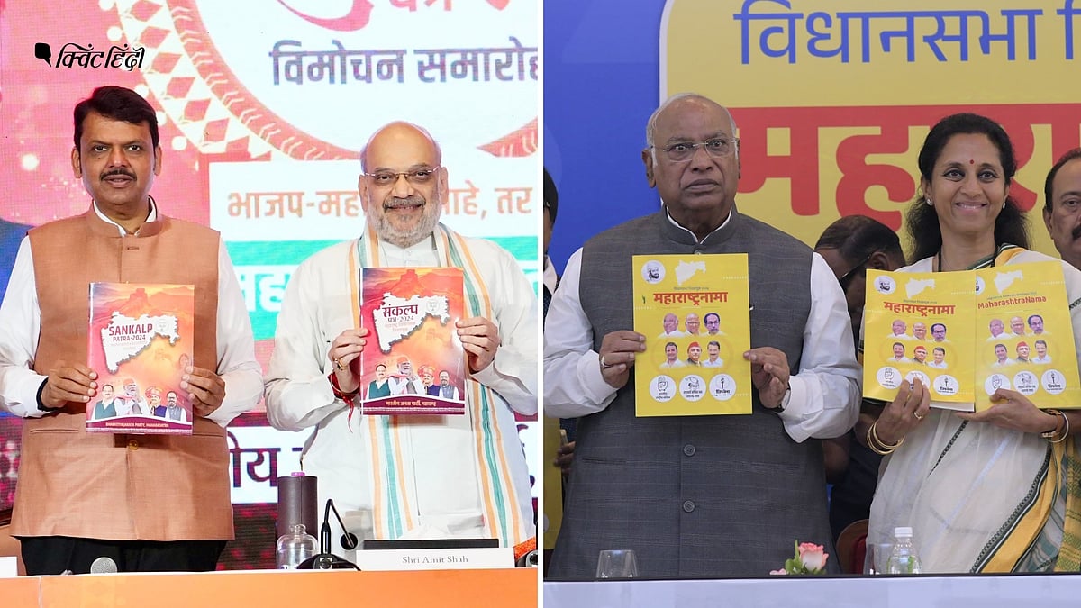 <div class="paragraphs"><p>महाराष्ट्र: महिलाओं और किसानों पर फोकस... BJP और MVA के मैनिफेस्टो की बड़ी बातें</p></div>