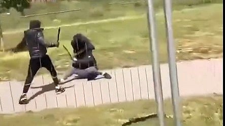 Våldsamt machetebråk i Londonpark mitt på dagen