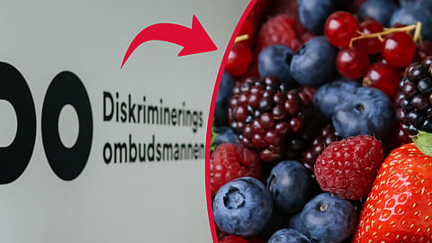 Familj skulle plocka bär – blev diskriminerade: "utländska som missköter sig"