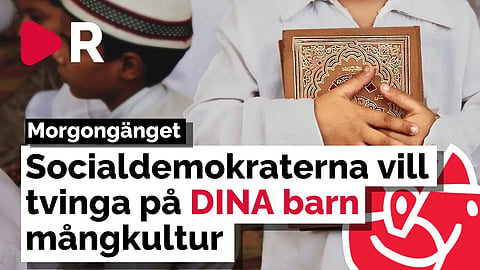 Morgongänget: Socialdemokraterna vill tvinga på DINA barn mångkultur