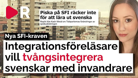 Experten: Svenskar ska tvångsintegreras med invandrare