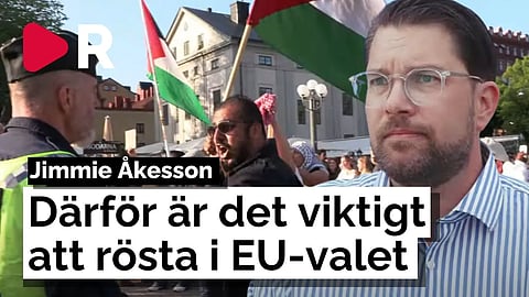 Massiv Palestinademonstration när Jimmie Åkesson håller tal