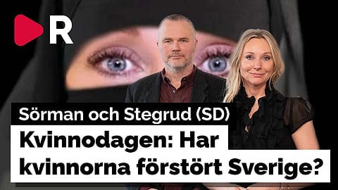 Sörman samtalar med Jessica Stegrud (SD): Har kvinnorna förstört Sverige?