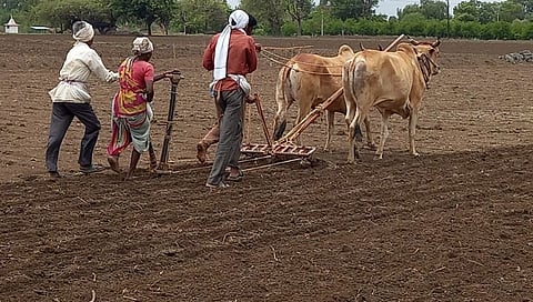 जिल्ह्यात २५ सर्कल कोरडेठाक; पेरणीयोग्य पावसाची प्रतीक्षाच