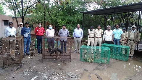 वनविभाग