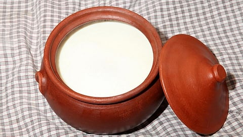 मातीच्या भांड्यात दही बनवण्याचे आहेत आश्चर्यकारक फायदे;  वाचा सविस्तर