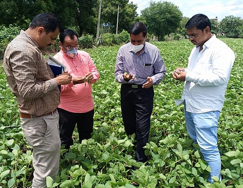 परभणी कृषी विद्यापिठाचे अधिकारी बांधावर