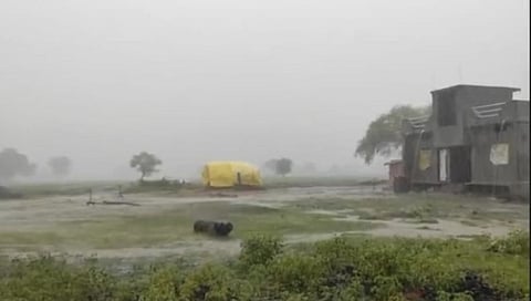 पावसाने पिकांना जीवदान, शेतकऱ्यांचे संकट टळले  