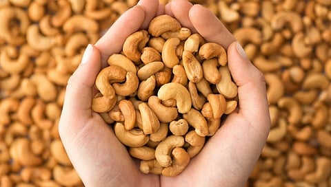 Side Effects Of Cashew: काजू खाण्याचे चार आश्चर्यकारक तोटे