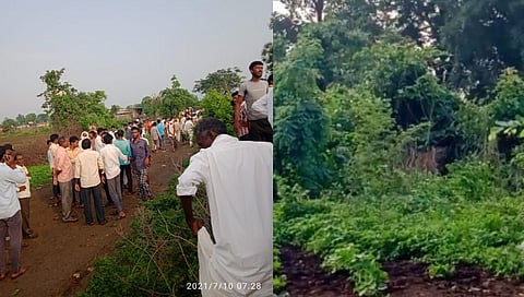 पिवरडोल शेत शिवारात तरूणावर वाघाचा हल्ला; युवकांचा जागीची मृत्यू