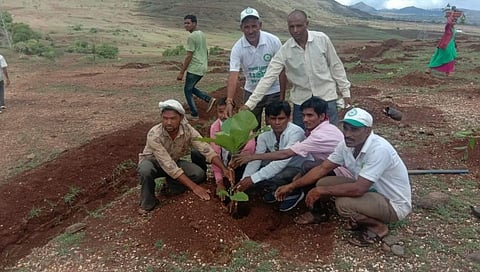 मोठ्या प्रतिक्षेच्या पावसानंतर सामाजिक संघटनांतर्फे वृक्षारोपण सुरु