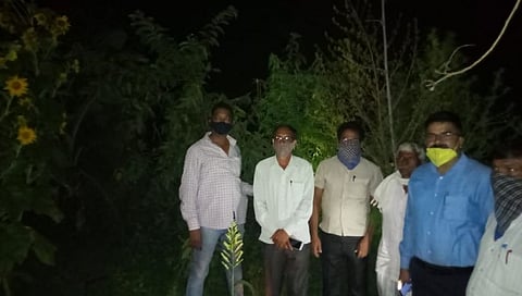 अबब ! घरात लावली गांजाची झाडे 