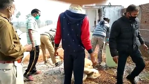 पाच दारू अड्ड्यांवर पोलिसांचे छापे