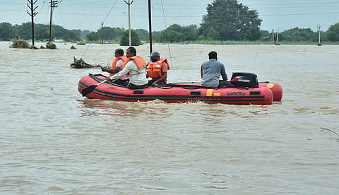 शेवगावात पावसाने थैमान घातले आहे.