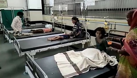 मोगली एरंडीच्या बिया खाल्यामुळे पाच लहान मुलांना विषबाधा