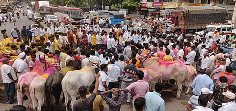 बैलगाडा शर्यतीसाठी राहुरीत आंदोलन करताना शेतकरी.