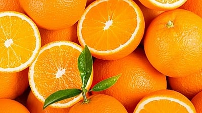 अनुदान कसले देताय, संत्र्यावर संशोधन करा! एनआरसीला साकडे