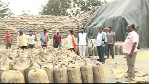 food grains