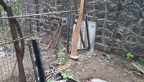 एसटी महामंडळाच्या विभागीय कार्यशाळेतून चंदनाच्या झाडाची चोरी 