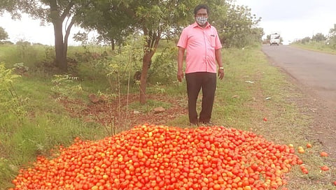 शेतकऱ्यांवर कवडीमोल दराने टोमॅटो विकण्याची वेळ