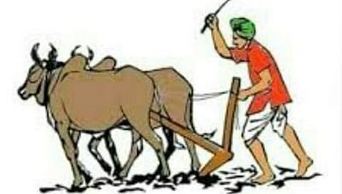 farmer