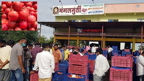 आटपाडी कृषी उत्पन्न बाजार समितीच्या सौदे बाजारात डाळींबाला उच्चांकी दर
