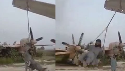 Video Viral; तालिबानी घेतायेत झोपाळ्याची मज्जा 