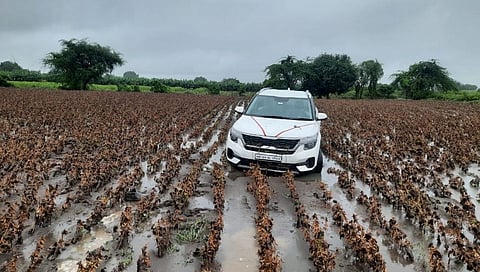 बीड: आवरगावमध्ये सोयाबीनच्या शेतात अवतरली कार !