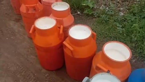 पॅराफीनची दूधात भेसळ करून विक्री