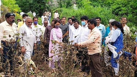 परळीची लेक म्हणून माझ्यासाठी ही दुःखाची गोष्ट आहे- प्रीतम मुंडेंचा सरकारवर निशाणा