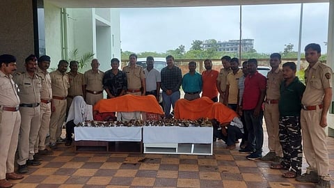 यवतमाळमध्ये वन विभागाची मोठी कारवाई, वाघाच्या अवयवासह हाडे जप्त