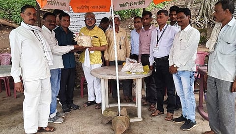 मशरूम 