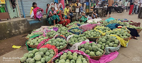 सातपुड्यातील रानमेवाची आवक वाढली; व्यापारी धड़गावात