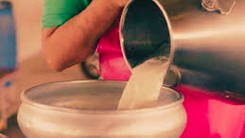Aurangabad: आज पाच लाख लिटर दुधाची विक्री; मुंबईला जाणारे दूधही रोखले