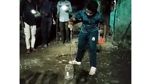 मण्यार साप