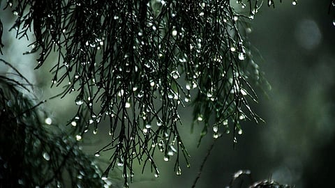 Maharashtra Weather: राज्यावर आजही अवकाळी पावसासह गारपिटीचं संकट, कोणत्या जिल्ह्यांना ऑरेंज- येलो अलर्ट?